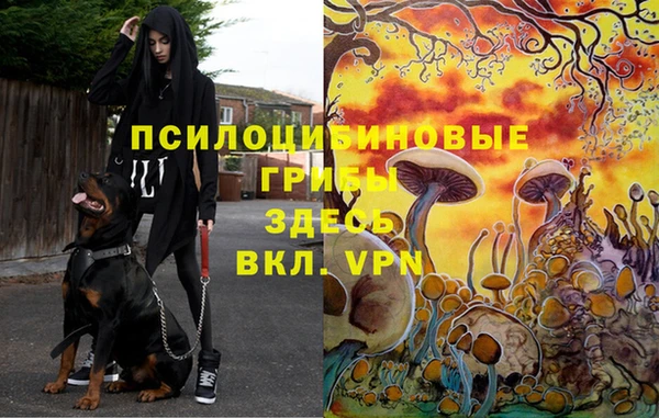 синтетический гашиш Белоозёрский
